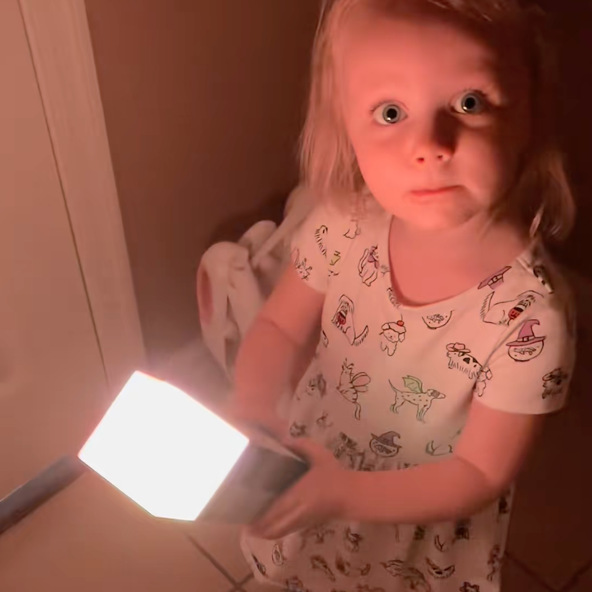 Pixel Torch - Minecraft from screen to reality