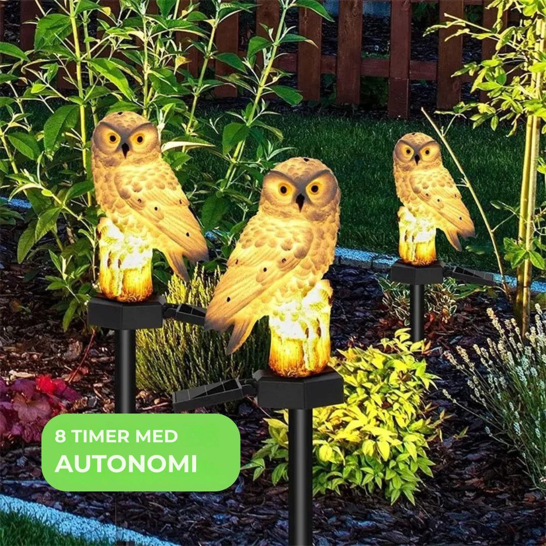 Solar Led-ugle MagicNight