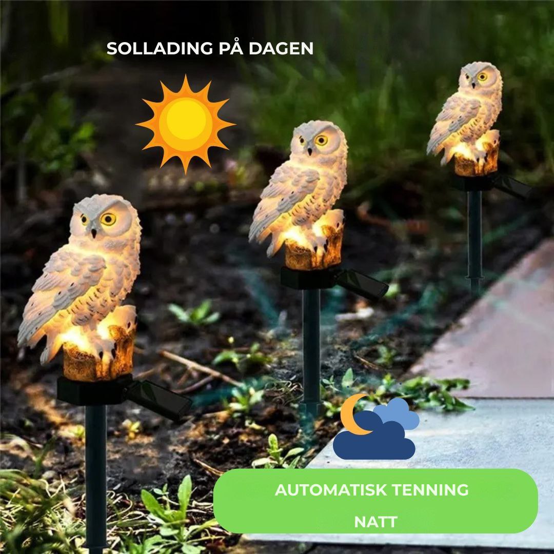 Solar Led-ugle MagicNight