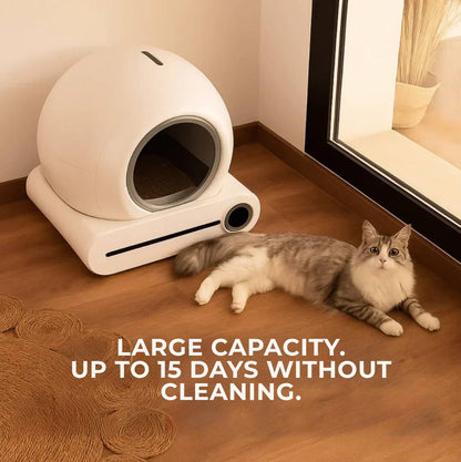 Lona - The Smart Sandbox that Cleans Itself